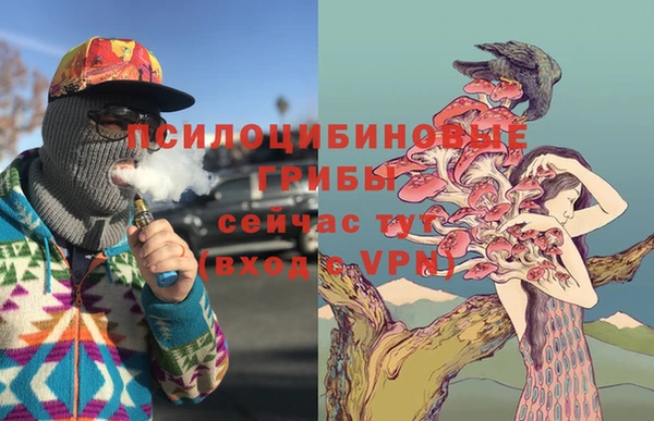 прущие крисы Белокуриха
