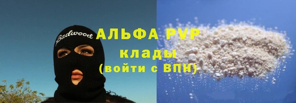 прущие крисы Белокуриха