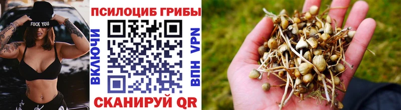 как найти закладки  Будённовск  Галлюциногенные грибы ЛСД 